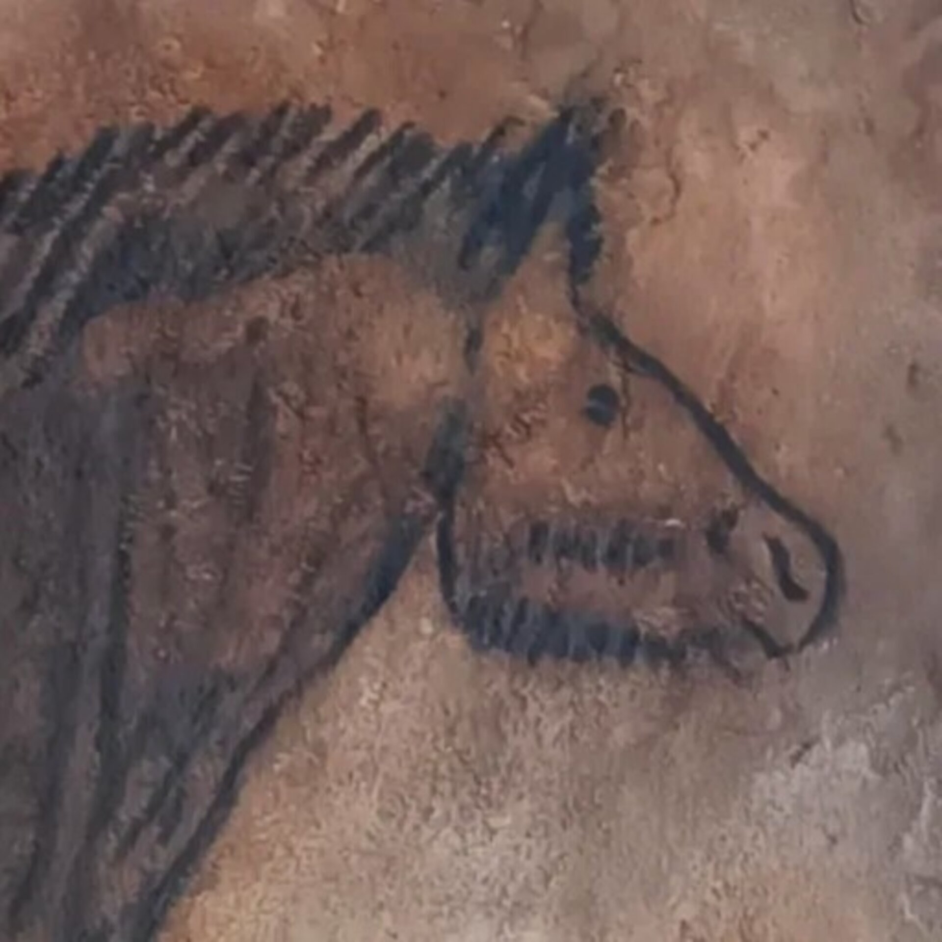 Caballo - Cueva de Niaux (Francia) - 2