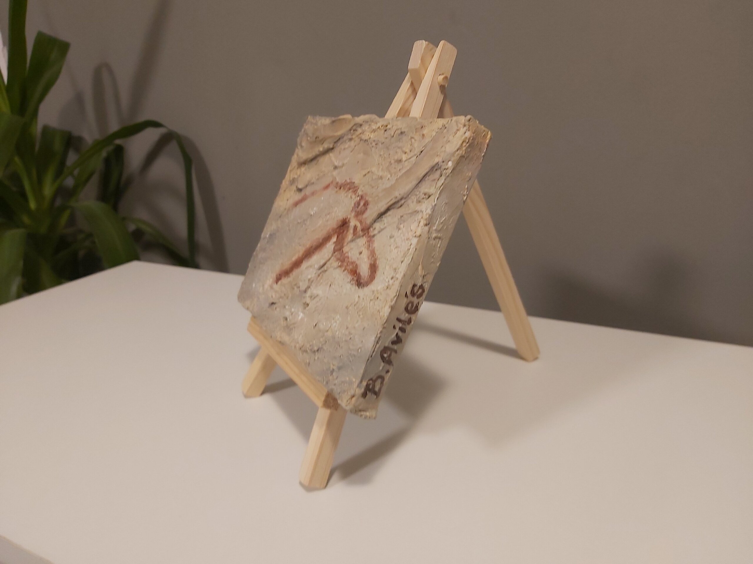 Caballo - Cueva de la Pasiega, Cantabria (España) - 1