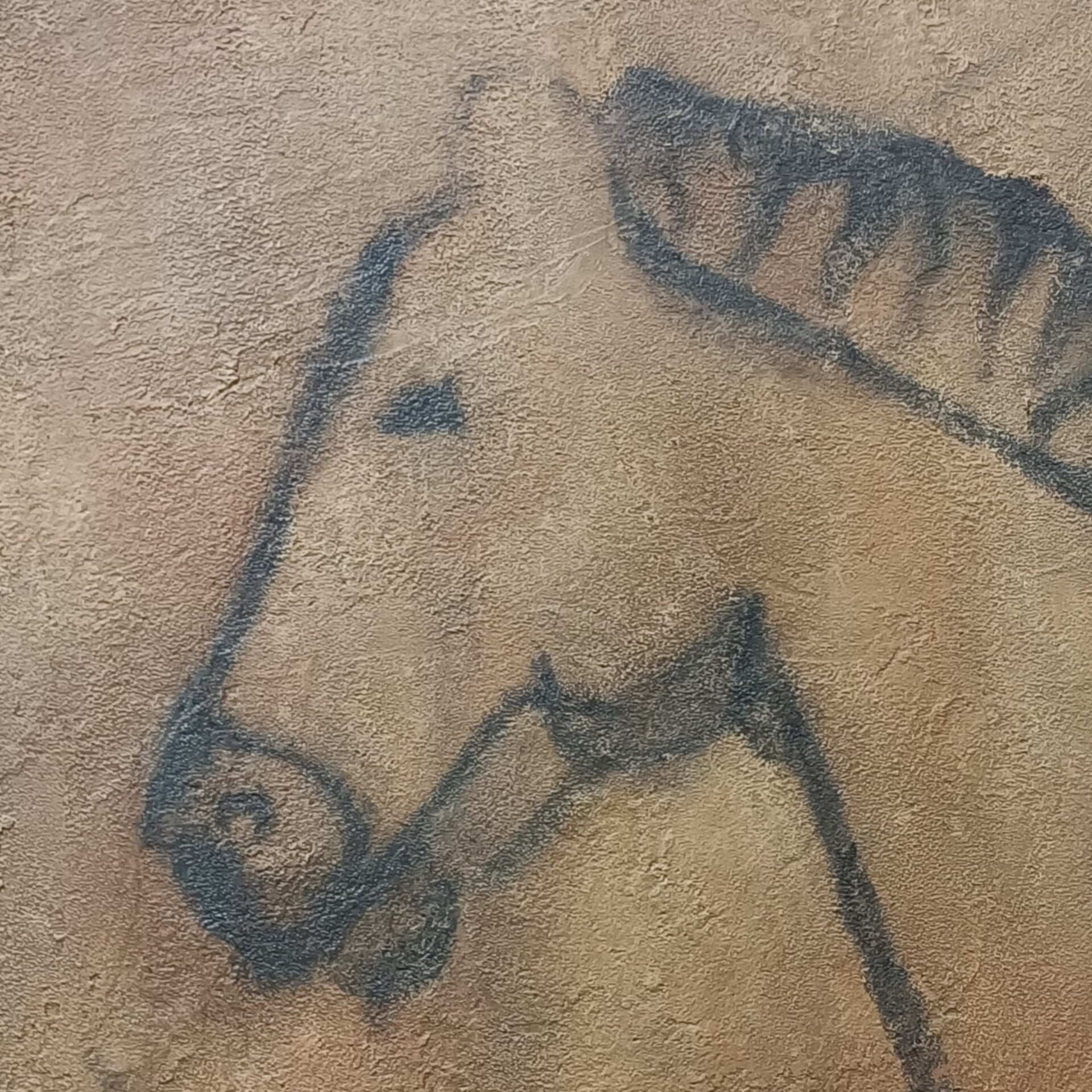 Caballo - Cueva de Tito Bustillo, Asturias (España) - 2